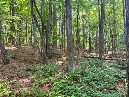 Carlton, GA 30627 Oglethorpe County