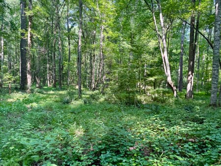 Carlton, GA 30627 Oglethorpe County