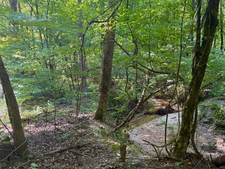 Carlton, GA 30627 Oglethorpe County