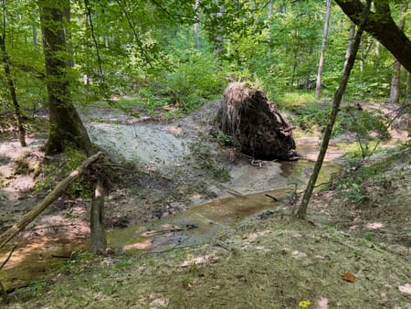 Carlton, GA 30627 Oglethorpe County