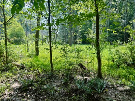 Carlton, GA 30627 Oglethorpe County