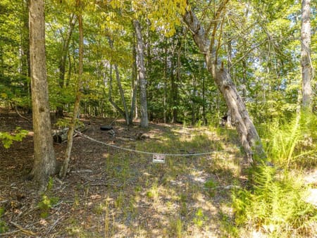 Mineral Bluff, GA 30559 Fannin County