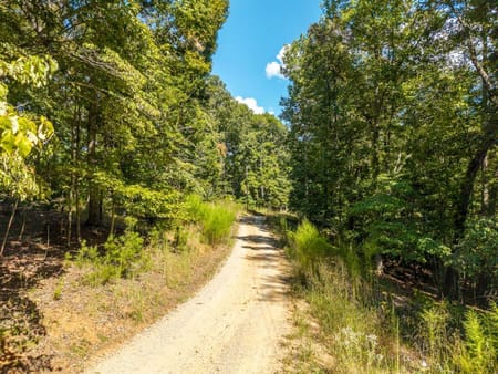 Mineral Bluff, GA 30559 Fannin County