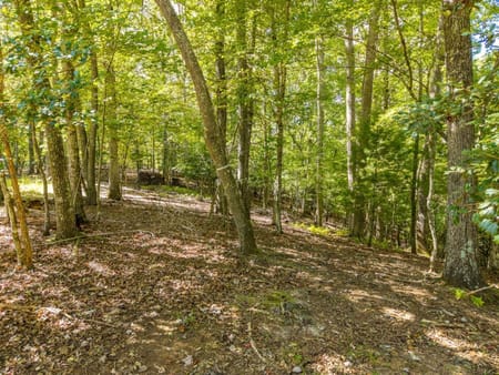 Mineral Bluff, GA 30559 Fannin County
