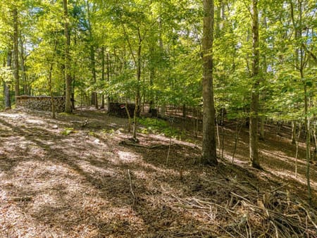 Mineral Bluff, GA 30559 Fannin County
