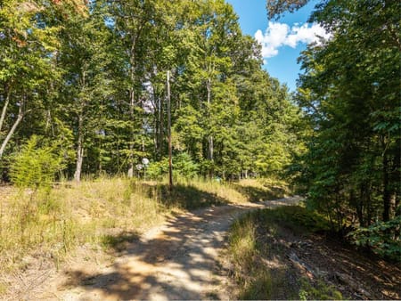 Mineral Bluff, GA 30559 Fannin County