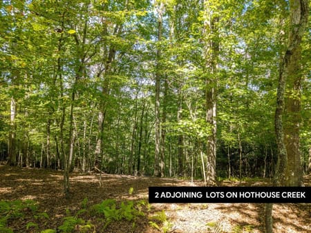 Mineral Bluff, GA 30559 Fannin County