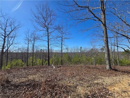 Rockmart, GA 30153 Paulding County