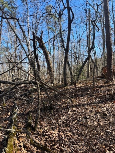 Waleska, GA 30183 Cherokee County