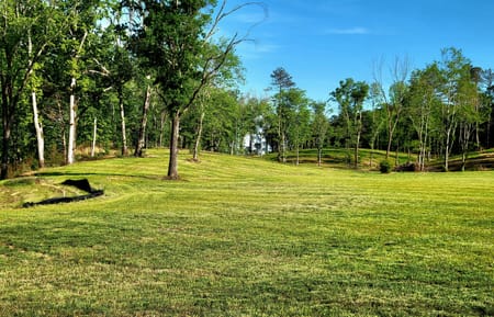Rydal, GA 30171 Bartow County