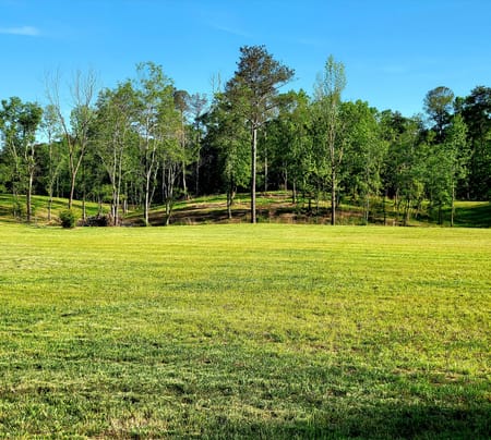 Rydal, GA 30171 Bartow County