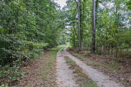 Lexington, GA 30648 Oglethorpe County