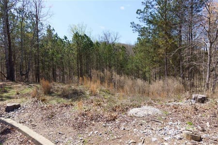 Cumming, GA 30041 Forsyth County