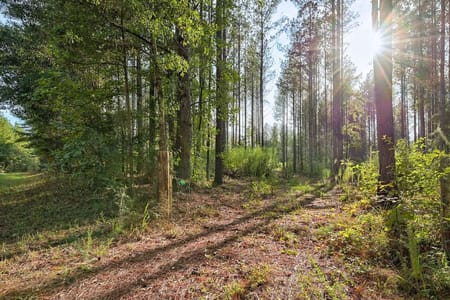 Watkinsville, GA 30677 Oconee County