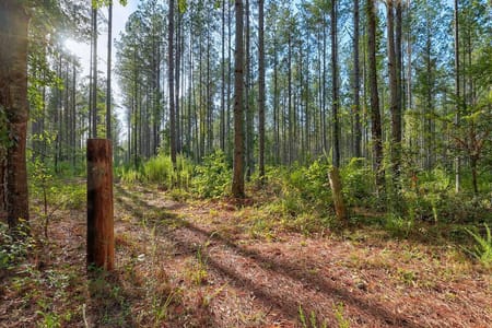 Watkinsville, GA 30677 Oconee County
