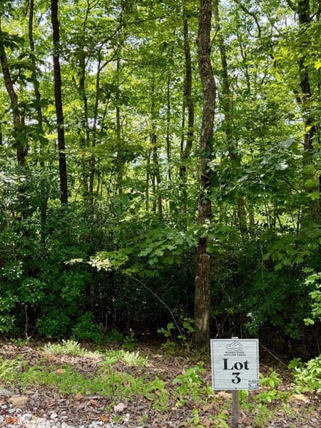 Blue Ridge, GA 30513 Fannin County