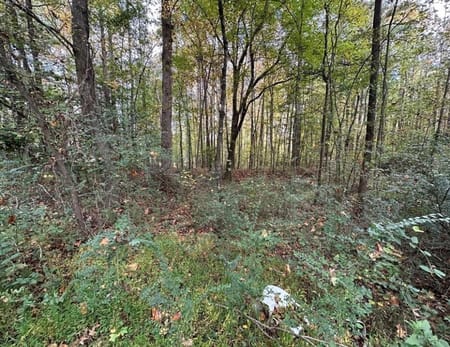 Dallas, GA 30157 Paulding County