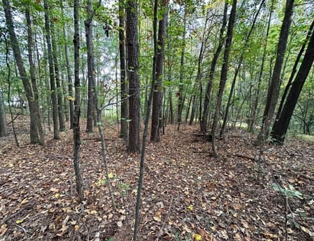 Dallas, GA 30157 Paulding County