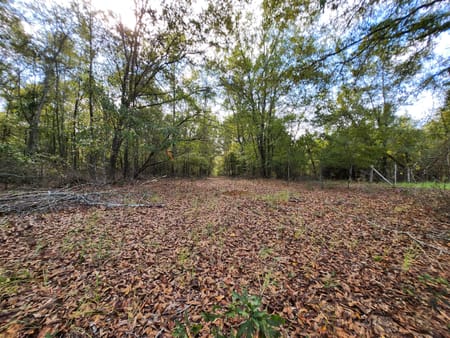 Milledgeville, GA 31061 Baldwin County