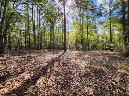 Milledgeville, GA 31061 Baldwin County