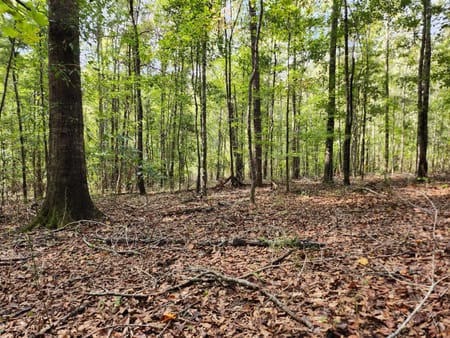 Milledgeville, GA 31061 Baldwin County