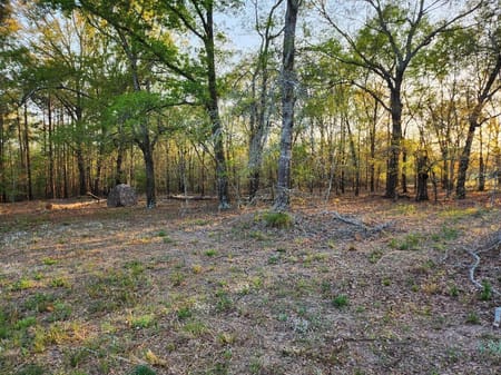 Milledgeville, GA 31061 Baldwin County