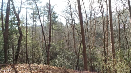 Helen, GA 30545 White County