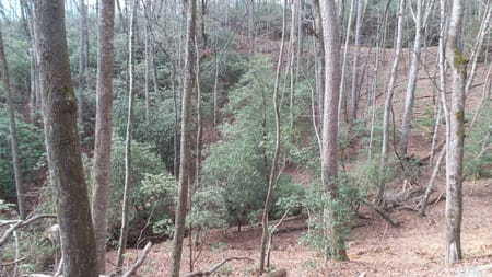 Helen, GA 30545 White County