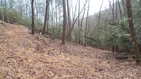 Helen, GA 30545 White County