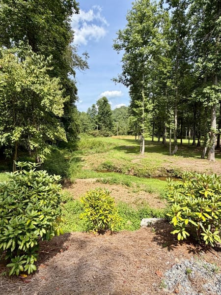 Blue Ridge, GA 30513 Fannin County