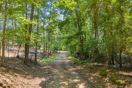 Flowery Branch, GA 30542 Hall County