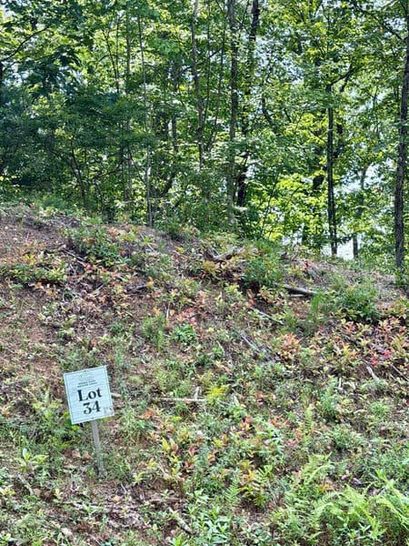 Blue Ridge, GA 30513 Fannin County