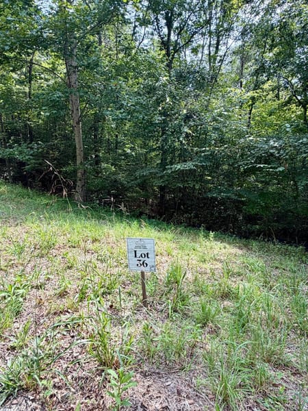 Blue Ridge, GA 30513 Fannin County
