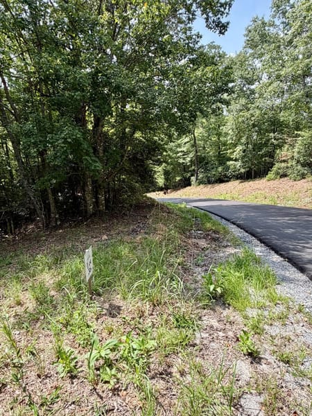 Blue Ridge, GA 30513 Fannin County