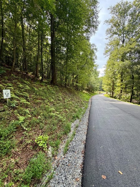 Blue Ridge, GA 30513 Fannin County