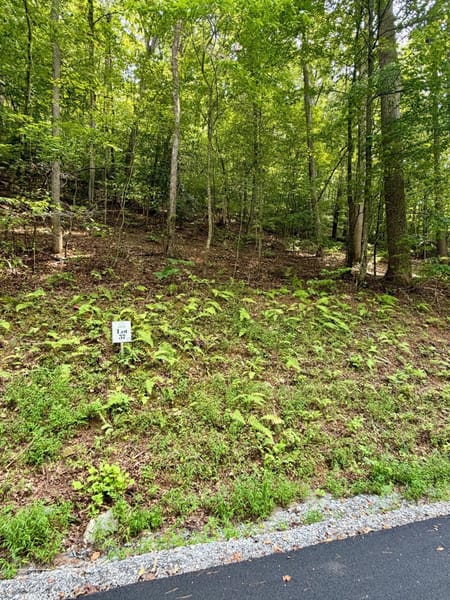 Blue Ridge, GA 30513 Fannin County