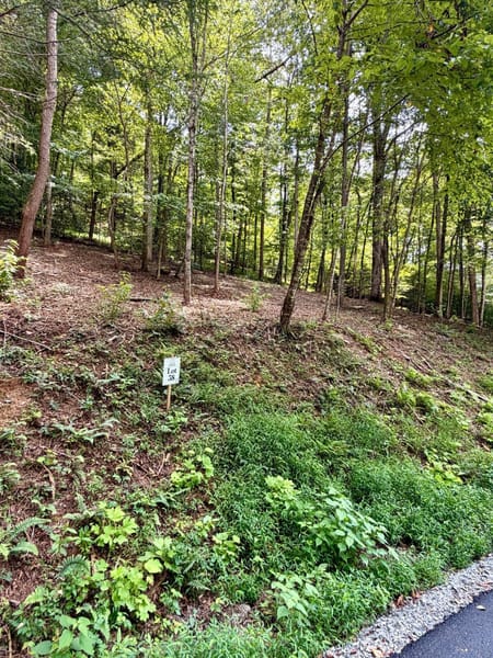 Blue Ridge, GA 30513 Fannin County