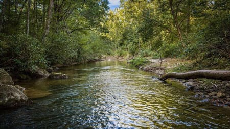 Epworth, GA 30541 Fannin County