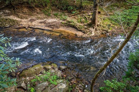Epworth, GA 30541 Fannin County