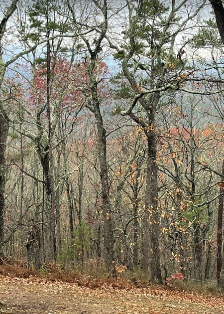 Canton, GA 30114 Cherokee County