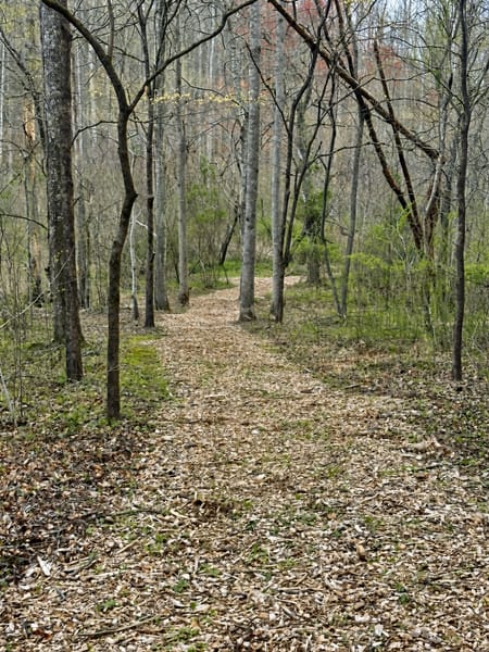 Blue Ridge, GA 30513 Fannin County