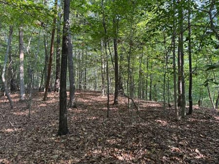 Canton, GA 30115 Cherokee County