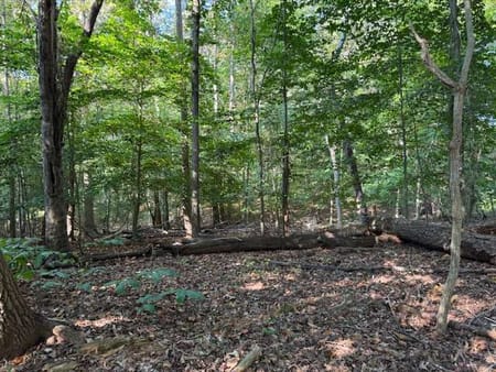 Canton, GA 30115 Cherokee County