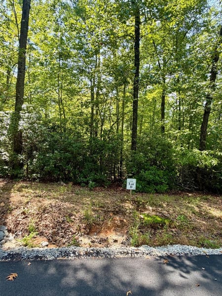 Blue Ridge, GA 30513 Fannin County