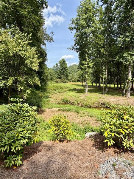 Blue Ridge, GA 30513 Fannin County