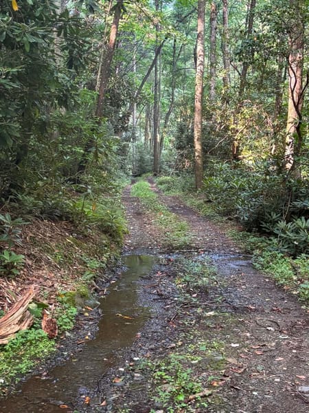 Epworth, GA 30541 Fannin County