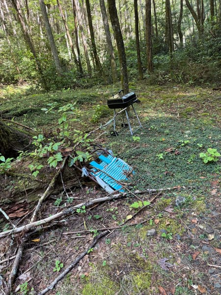 Epworth, GA 30541 Fannin County