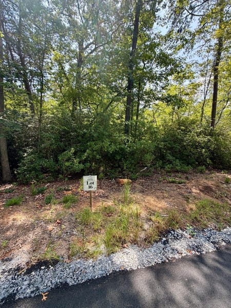 Blue Ridge, GA 30513 Fannin County