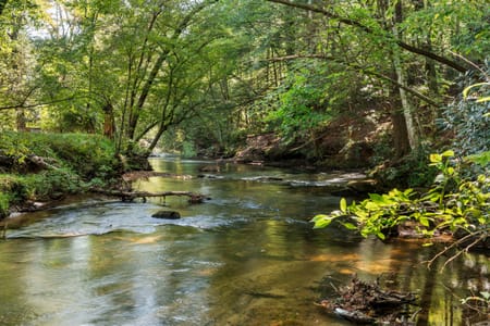 Blue Ridge, GA 30513 Fannin County