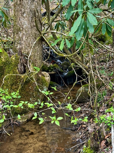 Blue Ridge, GA 30513 Fannin County